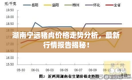 湖南寧遠豬肉價格走勢分析，最新行情報告揭秘！