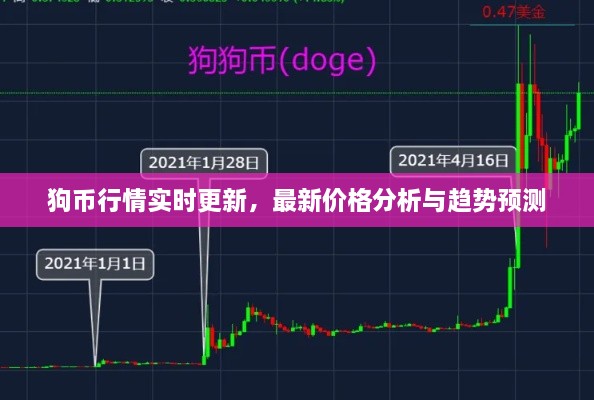 狗幣行情實(shí)時(shí)更新，最新價(jià)格分析與趨勢(shì)預(yù)測(cè)