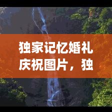 獨(dú)家記憶婚禮慶祝圖片，獨(dú)家記憶圖片唯美 