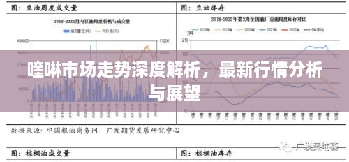 喹啉市場走勢深度解析，最新行情分析與展望