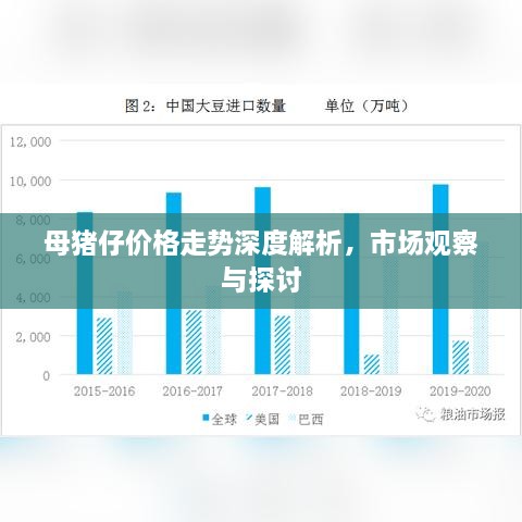 母豬仔價(jià)格走勢(shì)深度解析，市場(chǎng)觀察與探討