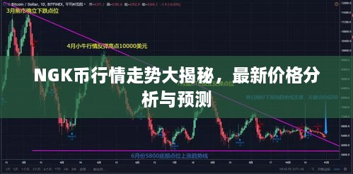 NGK幣行情走勢大揭秘，最新價(jià)格分析與預(yù)測