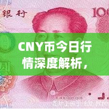 CNY幣今日行情深度解析，最新價(jià)格動態(tài)一網(wǎng)打盡！