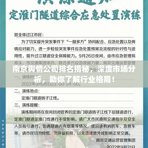 南京輿情公司排名揭秘，深度市場分析，助你了解行業(yè)格局！