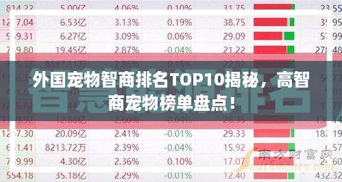 外國寵物智商排名TOP10揭秘，高智商寵物榜單盤點(diǎn)！