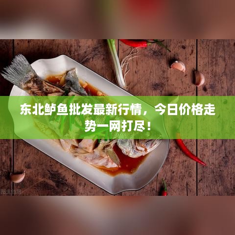 東北鱸魚批發(fā)最新行情，今日價格走勢一網(wǎng)打盡！