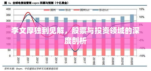 李文厚獨(dú)到見(jiàn)解，股票與投資領(lǐng)域的深度剖析