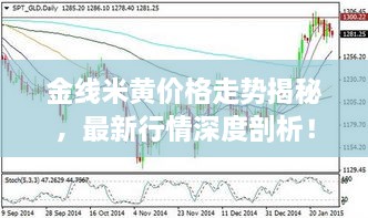 金線米黃價格走勢揭秘，最新行情深度剖析！