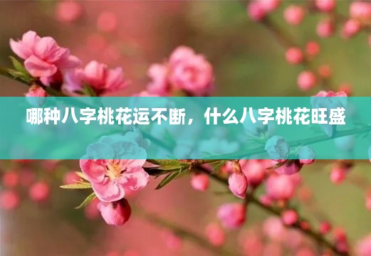 哪種八字桃花運(yùn)不斷，什么八字桃花旺盛 