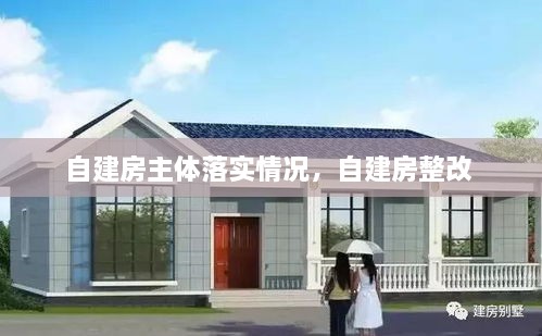 自建房主體落實情況，自建房整改 