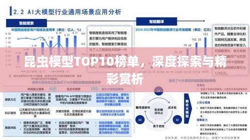 昆蟲模型TOP10榜單，深度探索與精彩賞析