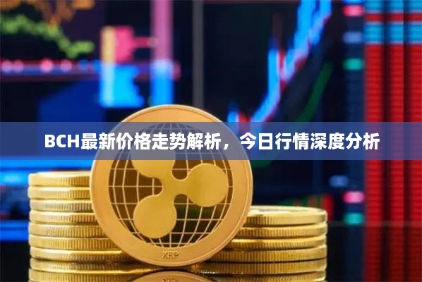 BCH最新價格走勢解析，今日行情深度分析