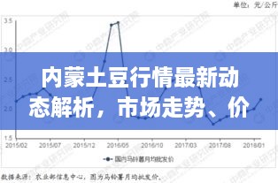 內(nèi)蒙土豆行情最新動態(tài)解析，市場走勢、價格及影響因素全解析