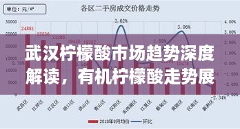 武漢檸檬酸市場趨勢深度解讀，有機檸檬酸走勢展望