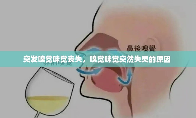 突發(fā)嗅覺味覺喪失，嗅覺味覺突然失靈的原因 