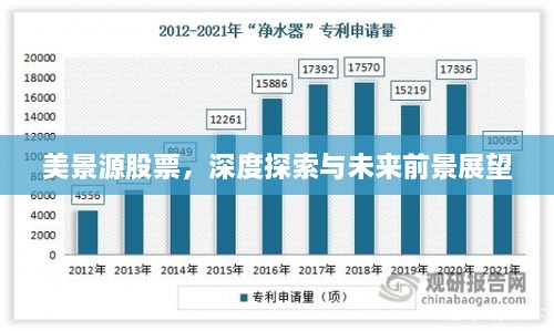 美景源股票，深度探索與未來前景展望