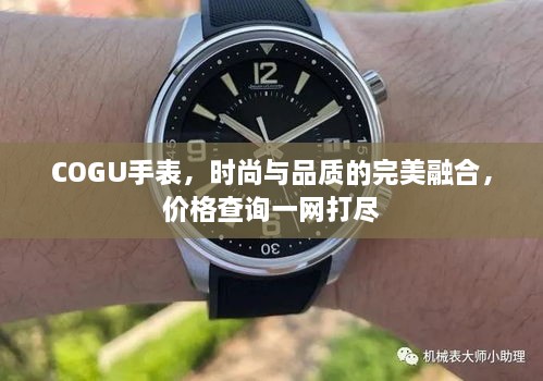 COGU手表，時(shí)尚與品質(zhì)的完美融合，價(jià)格查詢(xún)一網(wǎng)打盡