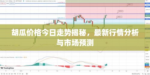 胡瓜價(jià)格今日走勢揭秘，最新行情分析與市場預(yù)測