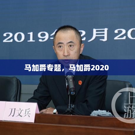 馬加爵專題，馬加爵2020 