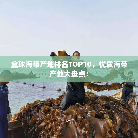 全球海帶產(chǎn)地排名TOP10，優(yōu)質(zhì)海帶產(chǎn)地大盤點！