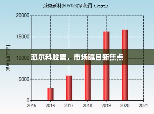 派爾科股票，市場(chǎng)矚目新焦點(diǎn)