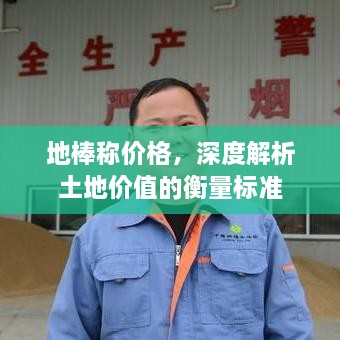 地棒稱價格，深度解析土地價值的衡量標準