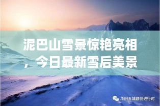 泥巴山雪景驚艷亮相，今日最新雪后美景報道！