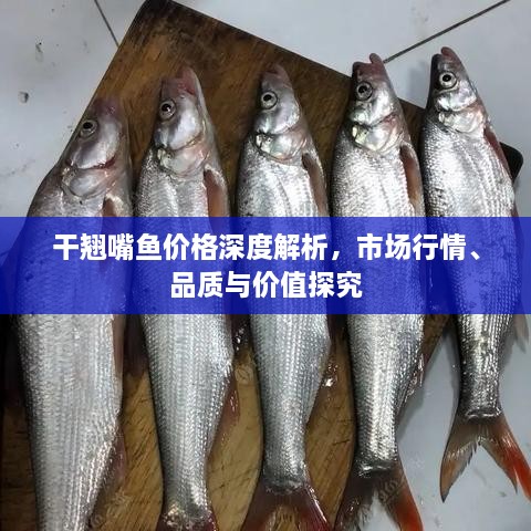 干翹嘴魚價格深度解析，市場行情、品質(zhì)與價值探究