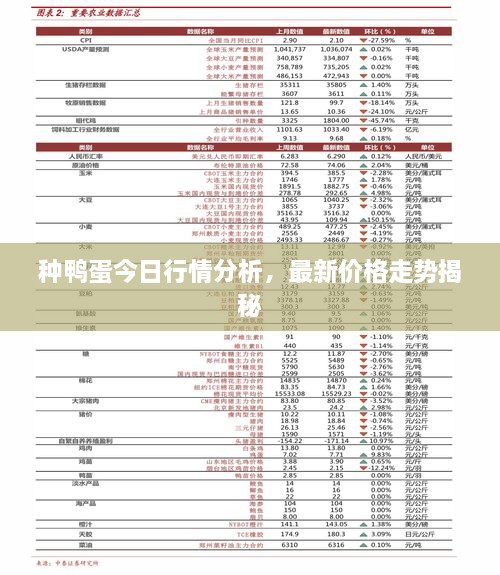 種鴨蛋今日行情分析，最新價格走勢揭秘