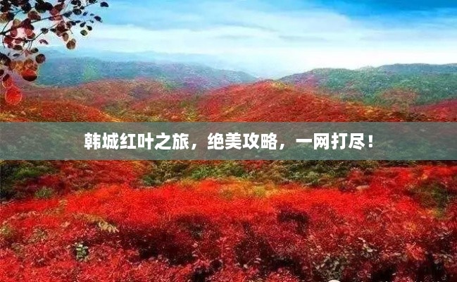 韓城紅葉之旅，絕美攻略，一網(wǎng)打盡！