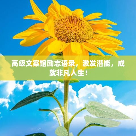 高級文案館勵志語錄，激發(fā)潛能，成就非凡人生！