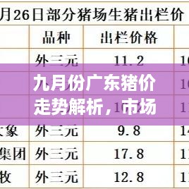 九月份廣東豬價走勢解析，市場行情、價格變動一網(wǎng)打盡