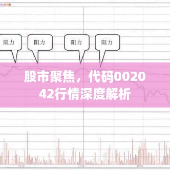 股市聚焦，代碼002042行情深度解析