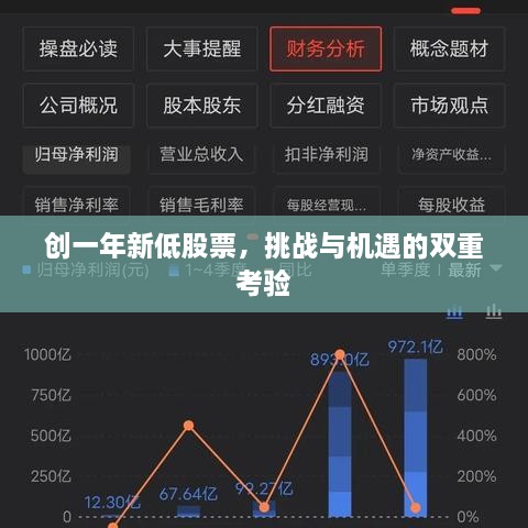 創(chuàng)一年新低股票，挑戰(zhàn)與機遇的雙重考驗