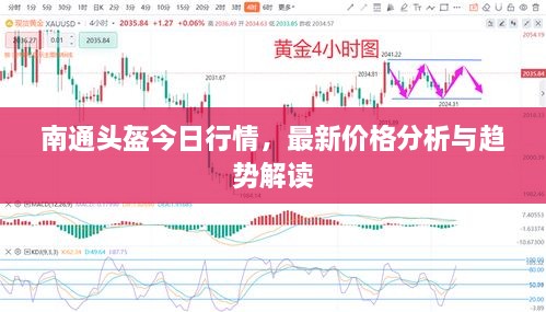 南通頭盔今日行情，最新價(jià)格分析與趨勢(shì)解讀