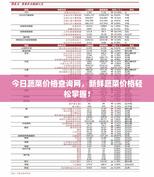 今日蔬菜價(jià)格查詢網(wǎng)，新鮮蔬菜價(jià)格輕松掌握！