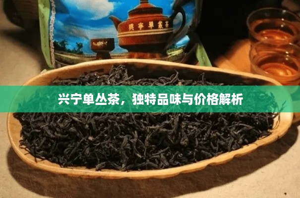 興寧單叢茶，獨(dú)特品味與價(jià)格解析