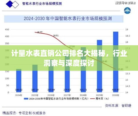 計(jì)量水表直銷公司排名大揭秘，行業(yè)洞察與深度探討