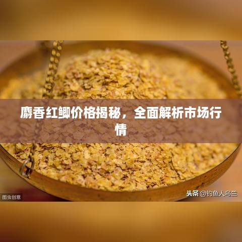 麝香紅鯽價(jià)格揭秘，全面解析市場(chǎng)行情