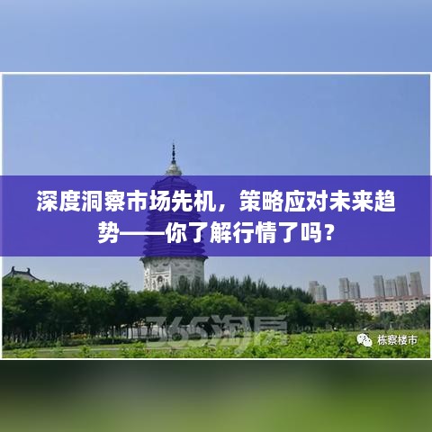 深度洞察市場先機(jī)，策略應(yīng)對未來趨勢——你了解行情了嗎？