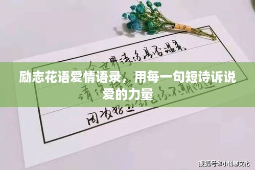 勵志花語愛情語錄，用每一句短詩訴說愛的力量