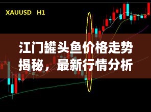 江門罐頭魚價格走勢揭秘，最新行情分析