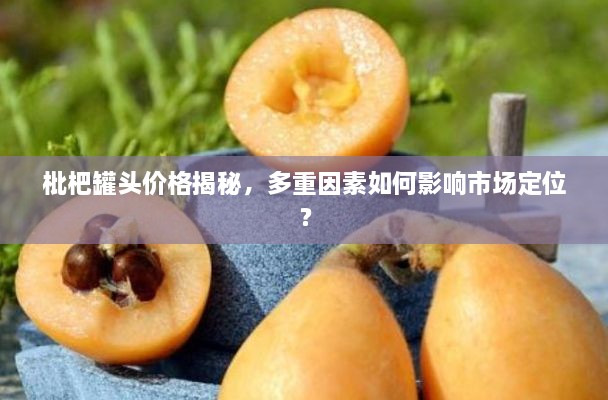 枇杷罐頭價(jià)格揭秘，多重因素如何影響市場(chǎng)定位？