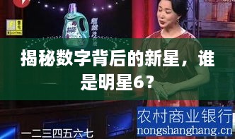 揭秘數(shù)字背后的新星，誰是明星6？