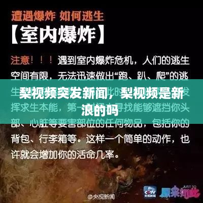 梨視頻突發(fā)新聞，梨視頻是新浪的嗎 