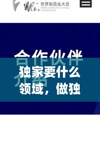 獨家要什么領(lǐng)域，做獨家代理有什么要求 